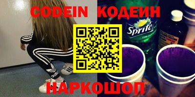мдпв Кингисепп