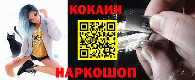 мдпв Кингисепп