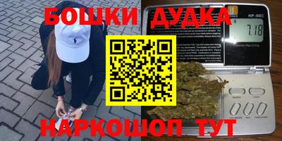 мдпв Кингисепп