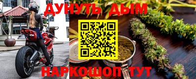 мдпв Кингисепп