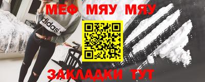 мдпв Кингисепп
